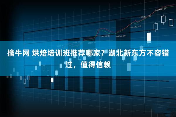 擒牛网 烘焙培训班推荐哪家?湖北新东方不容错过,值得信赖