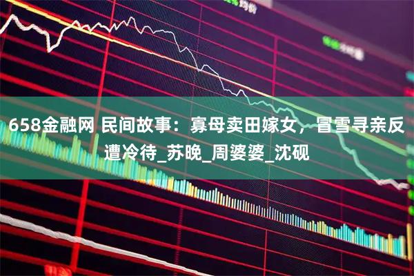 658金融网 民间故事：寡母卖田嫁女，冒雪寻亲反遭冷待_苏晚_周婆婆_沈砚