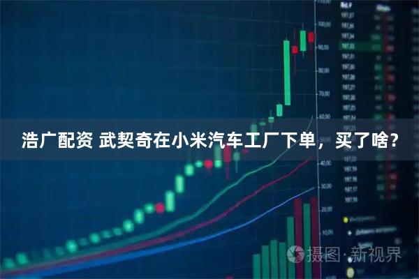 浩广配资 武契奇在小米汽车工厂下单,买了啥?